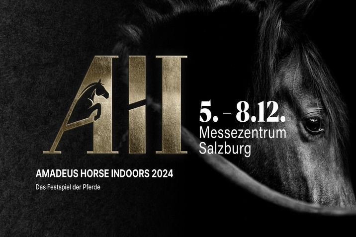 Amadeus Horse Indoors 